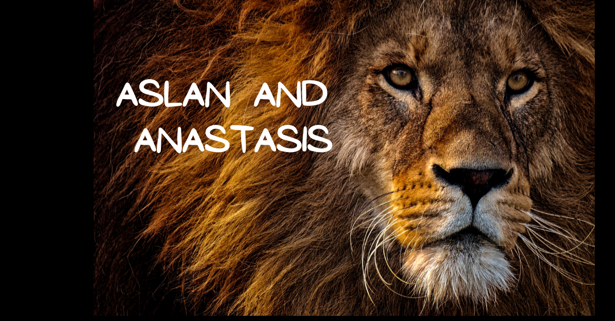 I know that Aslan is much more than that, but at the same time